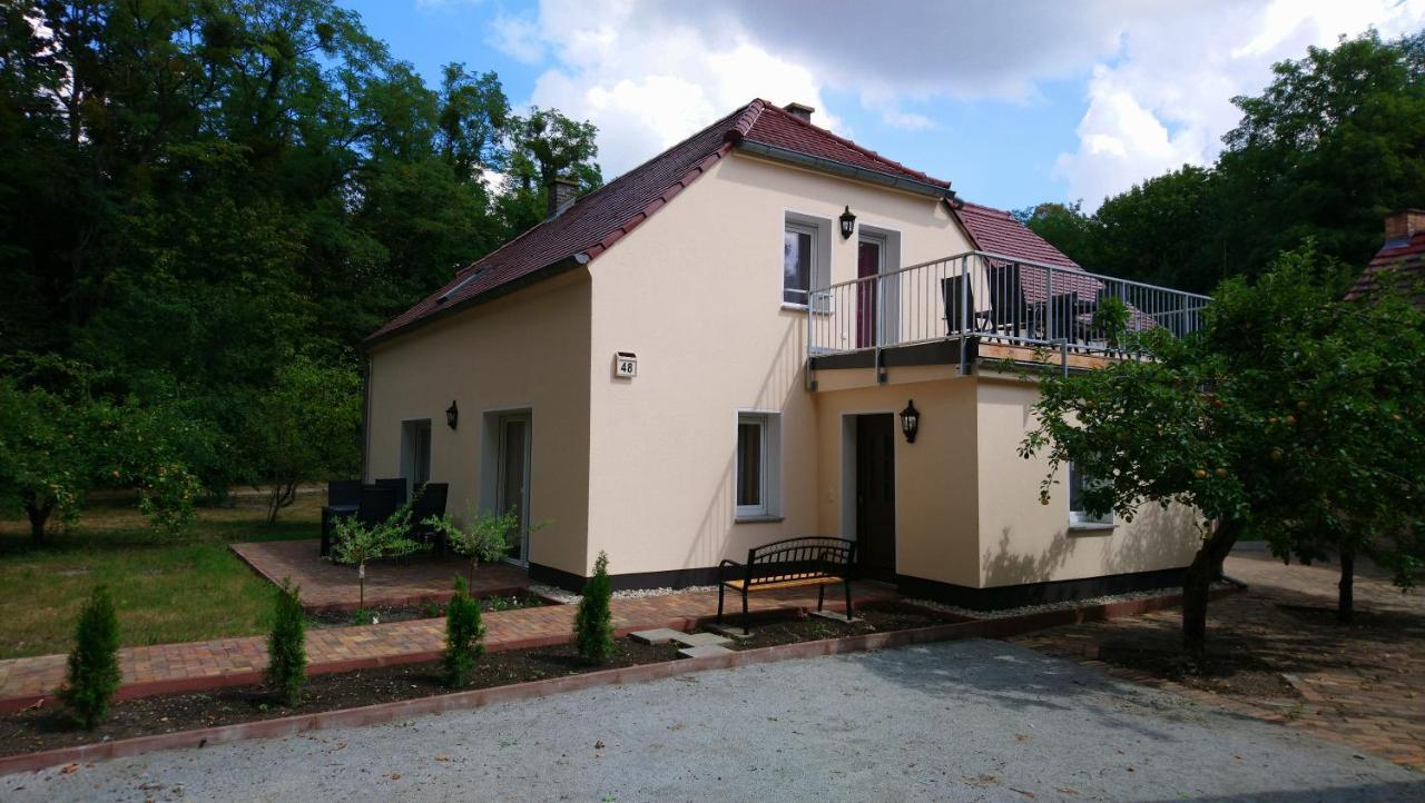 Haus Waldidyll Daire Lauta Dış mekan fotoğraf